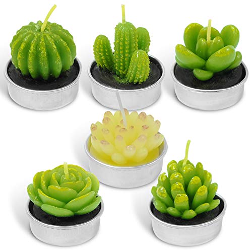 LA BELLEFÉE Tealight Cactus Candles, Delicate Succulent Handmade Cute Mini Plants Candles for Party Wedding Home Decoration Gifts Wedding Props 6 Pack Gifts Set