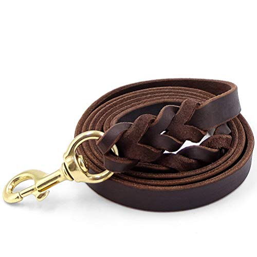 Fairwin Leather Dog Leash 6 Foot - Braided Heavy Duty Training Leash for Large Medium Small Dogs Running and Walking (M:Width:5/8', Brown)