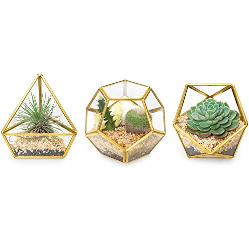 Mkono Mini Glass Geometric Terrarium Container Set of 3 Modern Tabletop Planter Windowsill Decor Shelves DIY Display Box Centerpiece Gift for Succulent Air Plant Miniature Fairy Garden, Gold, 4'