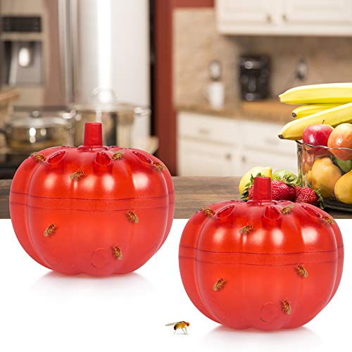 Stingmon 2 Pack Fruit Fly Traps Indoor, Fly Trap for Home, Gnat Killer for Indoor