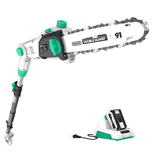 LiTHELi 40V Cordless Pole Saw 10 inches with 2.5AH Battery and Charger