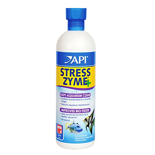API STRESS ZYME Aquarium Bacteria, Consumes Sludge And Keeps Aquarium Clean, 16-Ounce Bottle (56E)