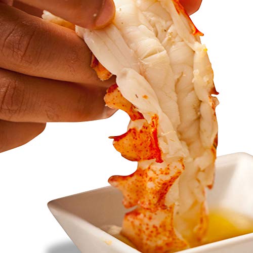 (10 Pack) Fresh Frozen Lobster Tails from Maine - Best with Lobster Clasp, Crab Leg Cracker Tools, Lobster Pics, Seafood Scissor & Forks - Antibiotic Free - Get Maine Lobster
