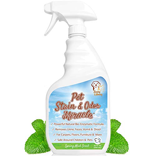 Pet Stain & Odor Miracle - The Best Enzyme Cleaner for Dog Urine Cat Pee Feces Vomit, Enzymatic Solution Cleans Carpet Rug Car Upholstery Couch Mattress Furniture, Natural Eliminator (S/M 32FL OZ)