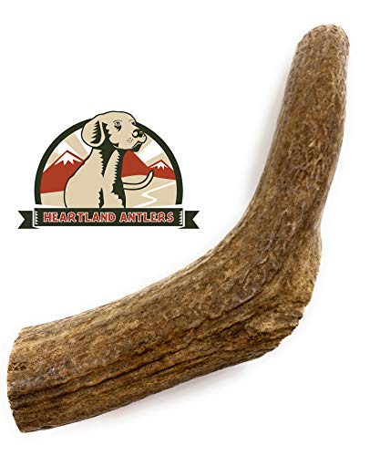 Elk Antlers for Dogs, Grade-A, Premium Antler Chews for Dogs (Large 6'-9')
