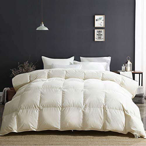 APSMILE Luxury All Season Goose Down Comforter Full/Queen Size Duvet Insert - 100% Organic Cotton, 650 Fill Power Hypoallergenic Medium Warmth, Beige White
