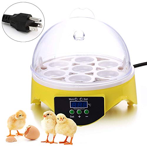 Xuliyme Mini 7 Egg Hatcher Incubator with Temperature Control, Digital Poultry General Purpose Incubators for Chickens Ducks Birds (7 Mini)