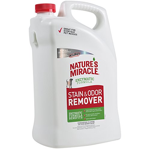 Nature's Miracle Dog Stain and Odor Remover Pour, 170 fl. oz.