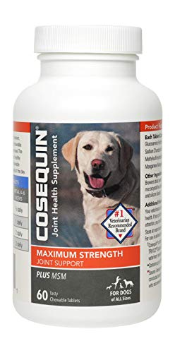 Cosequin Plus MSM Chewable Tablets, 60ct