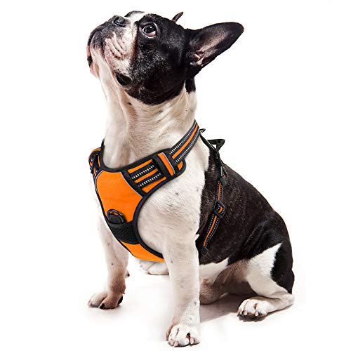 rabbitgoo Dog Harness,No-Pull Pet Harness with 2 Leash Clips,Adjustable Soft Padded Dog Vest,Reflective No-Choke Pet Oxford Vest with Easy Control Handle for Small Breed,Orange (S, Chest 15.7-27.6')