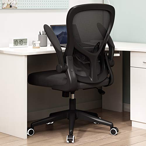 Hbada Office Chair, Ergonomic Desk Chair, Computer Mesh Chair with Lumbar Support and Flip-up Arms,Black