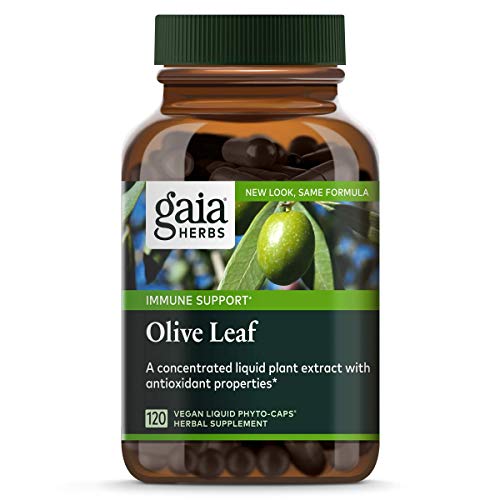 Gaia Herbs Olive Leaf, Vegan Liquid Capsules, 120 Count - Daily Immune Support and Cardiovascular Health Supplement, Antioxidant, 680mg