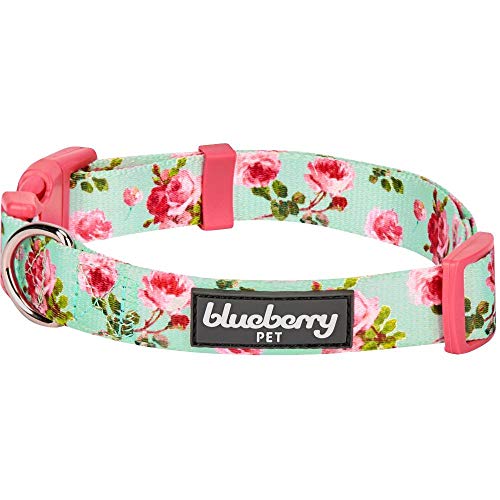 Blueberry Pet 11 Patterns Spring Scent Inspired Floral Rose Print Turquoise Adjustable Dog Collar, Small, Neck 12'-16'