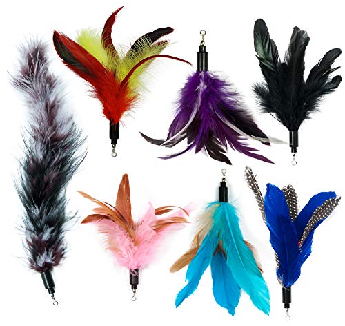 EcoCity Cat Wand Feather Refills for Interactive Cat and Kitten Wands Include 6 Pieces Replacement Feathers and 1 Soft Furry Tail (7 Pieces)