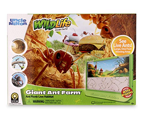 Uncle Milton Giant Ant Farm - Large Viewing Area - Care for Live Ants - Nature Learning Toy - Science DIY Toy Kit - Great Gift for Boys & Girls