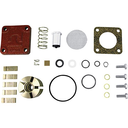 Fill-Rite 4200KTF8739 Rebuild Kit for 600, 1200, 2400, 4200, and 4400 Series with Rotor Cover