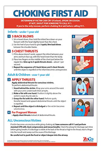 First Aid Choking Poster - Choking Poster Laminated - Choking Victim Poster - Heimlich Maneuver Poster - First Aid Poster for Babies, Children, and Adults - 12 x 18