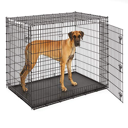 Midwest SL54DD 'Ginormus' Double Door Dog Crate for XXL for the Largest Dogs Breeds, Great Dane, Mastiff, St. Bernard