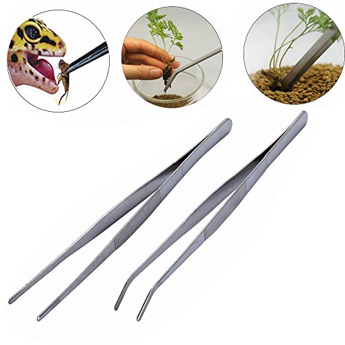 BinaryABC Stainless Steel Straight and Curved Nippers Tweezers Feeding Tongs for Reptile Snakes Lizards Spider(Silver) 2pcs