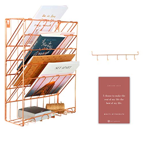 Multi-Hyphenate Hanging Wall File Mail Organizer | Magazine Holder with Hooks | Free Motivation Quote Card (Rose Gold)