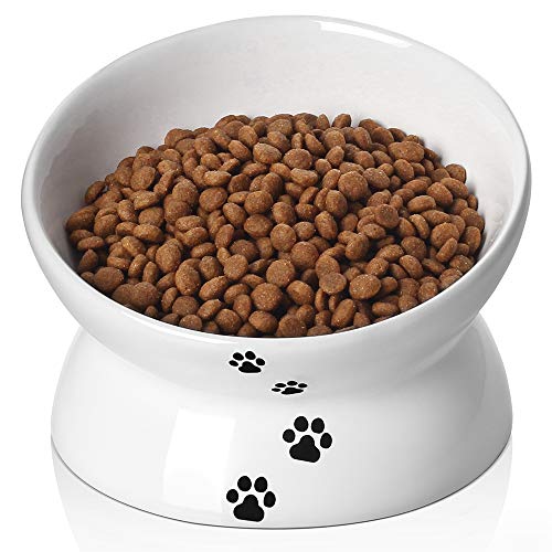 Y YHY Cat Bowl,Raised Cat Food Bowls Anti Vomiting,Tilted Elevated Cat Bowl, Ceramic Pet Food Bowl for Flat Faced Cats, Small Dogs,Protect Pet's Spine,Dishwasher Safe