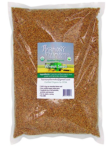 Certified Organic Hard Red Winter Wheat Seed Berries 5 pound bag Excellent for Bread Can be used for seed