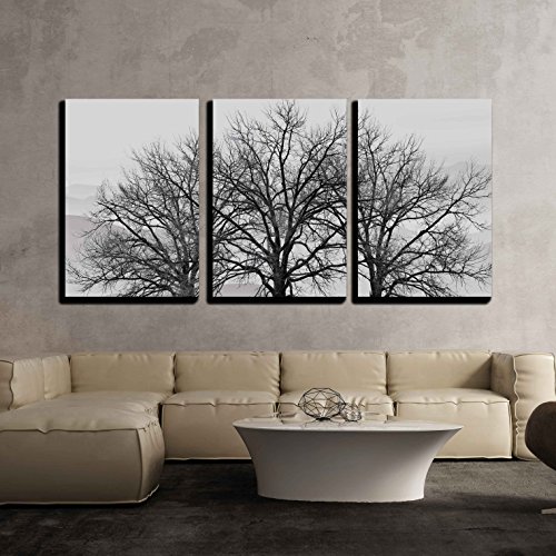 wall26 - 3 Piece Canvas Wall Art - Trees in Winter Gray Landscape - Modern Home Art Stretched and Framed Ready to Hang - 16'x24'x3 Panels