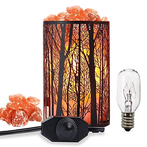 Salt Lamps, Natural Himalayan Salt Lamp, Forest Salt Lamp, Salt Night Lights, Salt Crystal Light with Retro Metal Basket Lamp and Extra 25W Lamp Bulbs