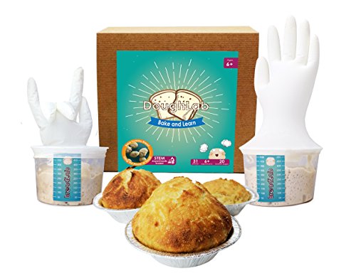 Magical Microbes DoughLab STEM Kit: Bake and Learn