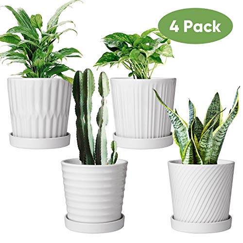 Flower Pots,6 Inch Succulent Pots with Drinage,Indoor Round Planter Pots with Saucer,White Cactus Planters with Hole,Outdoor Graden Pots 4 Pack
