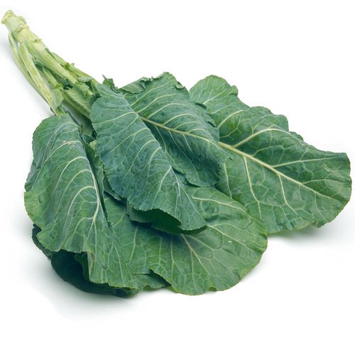 Georgia Southern Collard Seeds - Dark Blue-Green Cabbage-Like Delicious Leaves