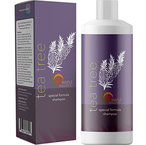 Tea Tree Shampoo for Oily Hair - Itchy Scalp Shampoo and Hair Treatment for Dry Damaged Hair with Pure Tea Tree Oil Lavender Essential Oil and Keratin Complex for Dandruff Treatment and Hair Regrowth