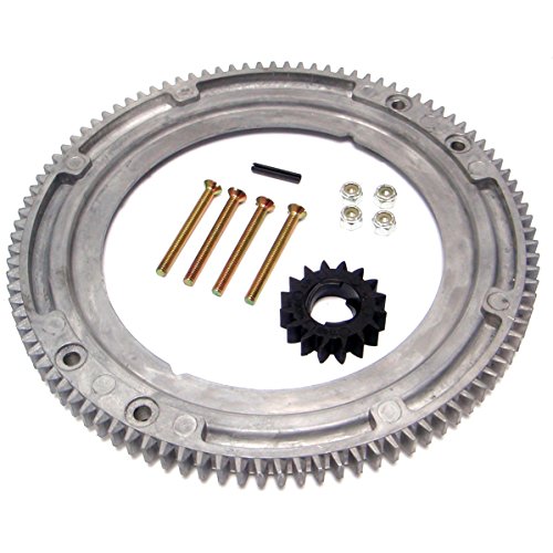 RA Flywheel Ring Gear Replacement - Replaces 392134, 399676, 696537