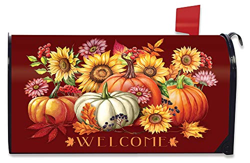Briarwood Lane Fall Beauty Floral Magnetic Mailbox Cover Welcome Autumn Standard