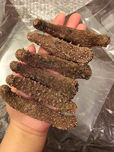 Alaska Red Dried Sea Cucumber-natural Sun Dried(Medium)1lb, Grade AAA