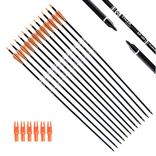 Tiger Archery 30Inch Carbon Arrow Practice Hunting Arrows with Removable Tips for Compound & Recurve Bow(Pack of 12) (Orange White)