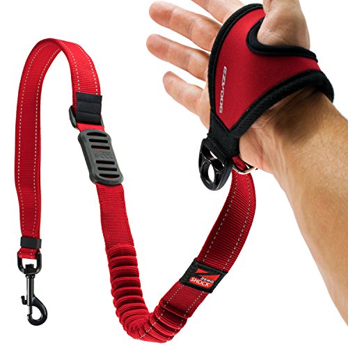 EzyDog Handy 48 Bungee Dog Leash - The Best Hands-Free Running Leash Training Lead with Superior Control and Reflective Stitching - Zero Shock Shock-Absorbing Technology (Adjustable 36” - 48”, Red)