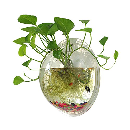 Sweetsea Hanging Wall Mounted Fish Bowl Betta Tank Aquarium Wall Decor Plant Fish Bubble - Clear (Medium)