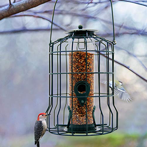 FORUP Caged Tube Feeder, Squirrel Proof Wild Bird Feeder, Outdoor Birdfeeder with Large Metal Seed Guard Deterrent for Large Birds, Green