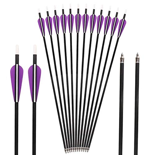Huntingdoor 12pack Archery Arrows Carbon Arrows 350 Spine 31'' Targeting Arrows Hunting Shooting Practice Screw-in Field Points Rotate Nock Purple Vanes for Recurve Bow Compound Bow Longbow