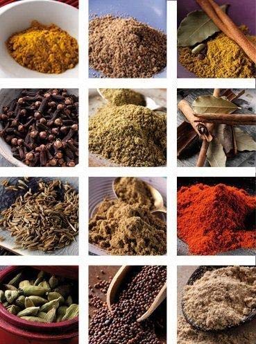 The Three Sisters Organic Indian Spices (13 Pc. Set) Natural, Authentic, and Traditional Flavors for Cookbook Recipes | Turmeric, Cumin, Cardamom, Garam Masala, Coriander