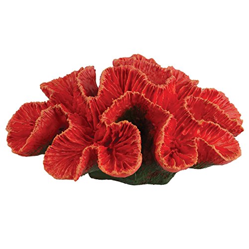 Underwater Treasures Pacific Rose Coral - Small