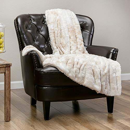 Chanasya Fuzzy Faux Fur Throw Blanket - Light Weight Blanket for Bed Couch and Living Room Suitable for Fall Winter and Spring (50x65 Inches) Taupe