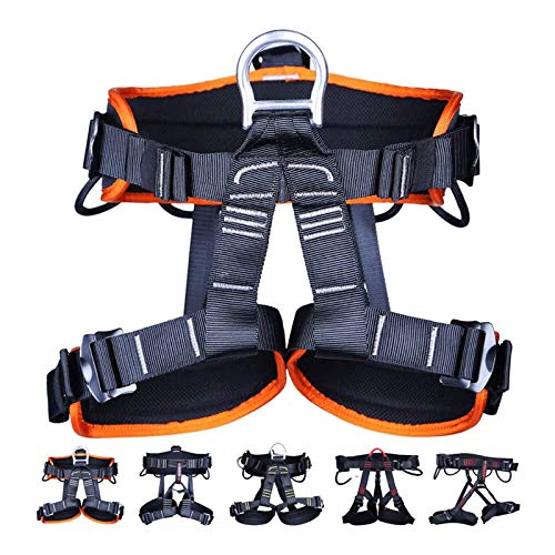 HJKLL Climbing Harness, CE Certified Thickened Wider Safety Harness to Protect Waist, Safety Gear Climbing Rope for Fall Protection, Harness for Work at Height Fire Rescuing (Harness) (Color : C)