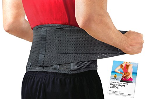 Back Brace by Sparthos - Immediate Relief for Back Pain, Herniated Disc, Sciatica, Scoliosis and more! – Breathable Mesh Design with Lumbar Pad – Adjustable Support Straps – Lower Back Belt [Size Med]
