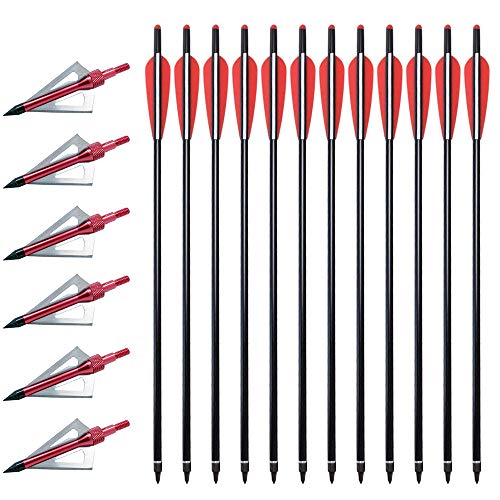 VKEDA 20 Inch Carbon Crossbow Bolts 12 Pack and 6 Pack Hunting Broadheads kit, Carbon Crossbow Arrows for Hunting and Outdoor Practice (Red)
