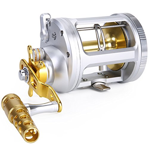 One Bass Fishing Reels Level Wind Trolling Reel Conventional Jigging Reel for Saltwater Big Game Fishing-(TA4000 Silver-Gold-Right Handed)