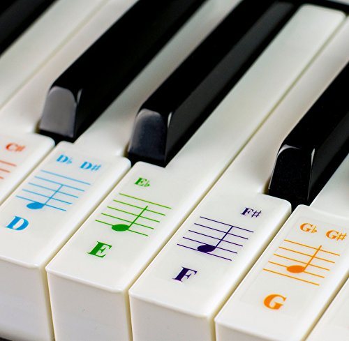 Color Piano Stickers for 88/61/54/49/37 Key Keyboards – Transparent and Removable: Made in USA