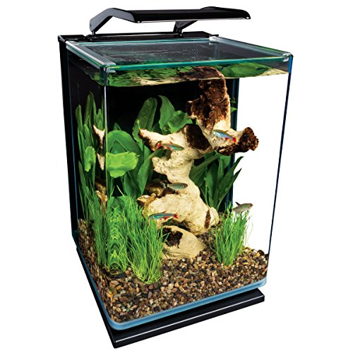 Marineland Portrait Glass LED aquarium Kit, 5 Gallons, Hidden Filtration