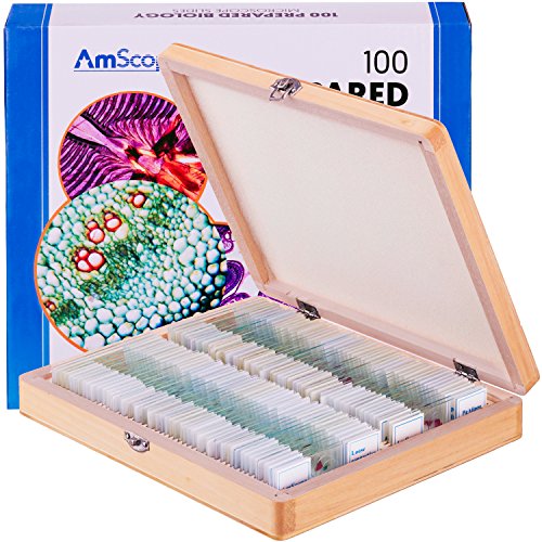 AmScope PS100A Prepared Microscope Slide Set for Basic Biological Science Education, 100 Slides, Set A, Includes Fitted Wooden Case